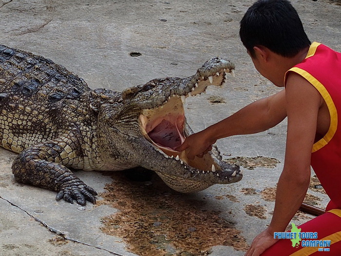 Phuket Crocodile World